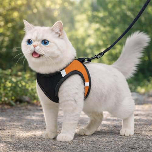 Image of Berlin's Cat Harness with Leash for Outdoor, Walking, Escape Proof, Air Mesh Fabric, Easy Control, Adjustable & Durable Cat Leash with Harness for Cats (Black-Orange, Medium)