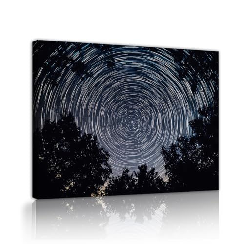 Toile nuit ciel étoilé forêt tableau décoration murale 65x100