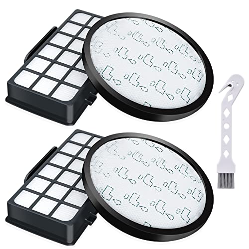 Lot de 2 Filtres HEPA pour Rowenta X-Trem Power Cyclonic RO6984EA RO6941EA RO6963EA RO6921EA RO6971EA RO6993EA (Modèle RO69XX) Aspirateurs, Filtre de Rechange...