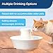 PetSafe Drinkwell Avalon Ceramic Pet Water Fountain - Encourages Hydration - Filtered Water with Carbon Filter - Ceramic Pet Fountain - Dual Stream Flow - Dishwasher Safe - 70 oz Capacity