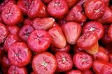 10+ Wax Apple Tree Seeds for Planting, Wax Apple Seeds for Home Garden, Greenhouse & Exotic Fruit Enthusiasts