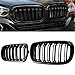 Price comparison product image Gangying F15 Kidney Grille Compatible for BMW X5 Series F15 X6 Series F16 X5M F85 X6M F86 2014 2015 2016 2017 2018 2019 Glossy Black Double slat Grill