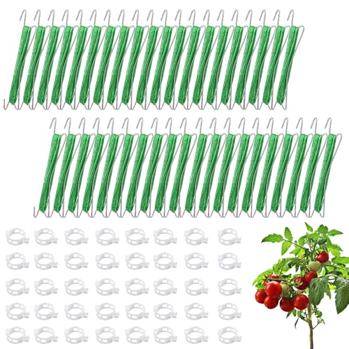HuaMuDM Gancho Tomate, 40 Ganchos para Tomates con 40 Anillas para Plantas y 15 m de Cuerda, Ganchos Soporte Tomate, Gancho para Tomate Jardín, Gancho Tracción para Crecimiento Plantas (B)