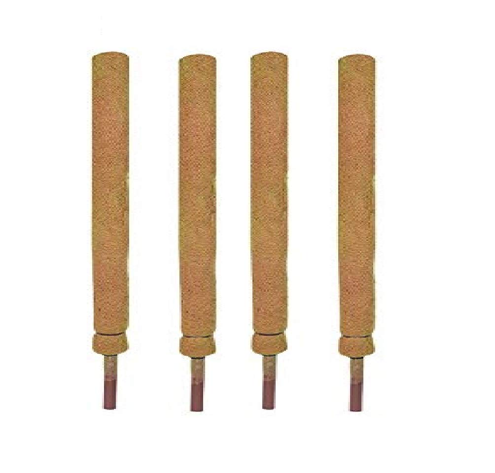 COIRGARDEN-Coco Pole 3 FT(91 CM) - 4 Pieces -Moss & Coir Stick for Money Plant Support, Indoor Plants, House Plants & Plant Creepers (B07ZFX7J5L) Amazon Price History, Amazon Price Tracker