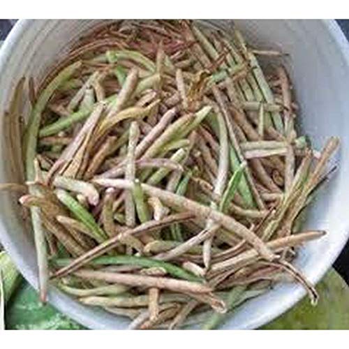 Sa-Dandy Southern Pea"White" - an Excellent Little White Pea (1000 - Seeds)