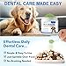 Teeth Cleaning Powder for Dogs, Dog Dental Plaque Cleaning Powder, Dogs Breath Freshener Remove Dog Bad Breath, Plaque & Tartar, Supports Gum & Teeth Health, Pet Dental Care Supplies - 3.5OZ / 100g