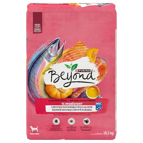 Beyond Superfood Blend Natural Dry Dog Food, Wild Caught Salmon, Egg & Pumpkin - 10.2 kg Bag image 1