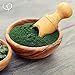 GOLDEN PEANUT Spirulina Pulver 500 g - 100% Reine Spirulina Alge für Pferd, Hund und Katze, Premium Qualität, natürliche Nährstoffversorgung