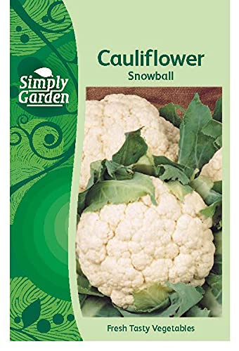 Simply Garden Cauliflower Snowball Fresh Vegetable Seeds Grow Your Own Garden