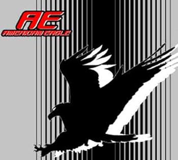 1700円です コメントください アメリカンイーグル 自転車 輪行バッグ Amazon | 自転車 輪行袋 アメリカンイーグル 折りたたみ自転車用