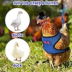 8 pieces chicken leash chicken harness and hat for hens funny chicken accessories adjustable duck harness and leash hat with elastic chin strap for hens duck goose parrot small pets 11 51ask6qv+6l. Sl500. Ss150