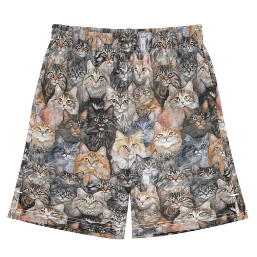 Boys Athletic Shorts Boys with Pockets Running Short Pants L Cartoon Maine Cooncats