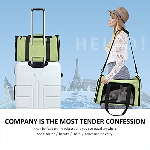 Image of Henkelion Large Cat Carriers Dog Carrier Pet Carrier for Large Cats Dogs Puppies up to 25Lbs, Big Dog Carrier Soft Sided, Collapsible Travel Puppy Carrier - Large - Green