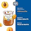 Menz&Gasser, Confettura Extra di Albicocche Prima Frutta, con 50% di Frutta, Realizzata con Frutti di Alta Qualità IQF, Lavorata in Trentino-Südtirol, Naturalmente Senza Glutine, Vegan, 2x340 g #1