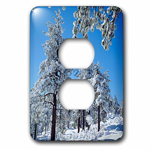 Árboles de invierno USA California San Diego placa para 2 enchufes de pared 2