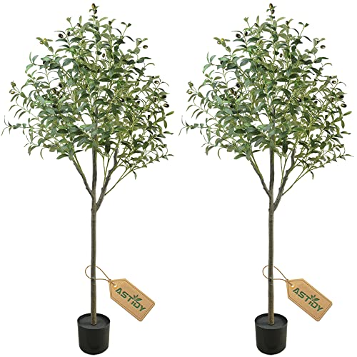 Astidy Artificial Olive Tree - 5Ft Tall Fake Olive Tree Potted - Faux Olive Silk Tree Set Of 2 - Artificial Tree For Home Office Living Room Floor Decor Indoor, 2 Pack #TOP2