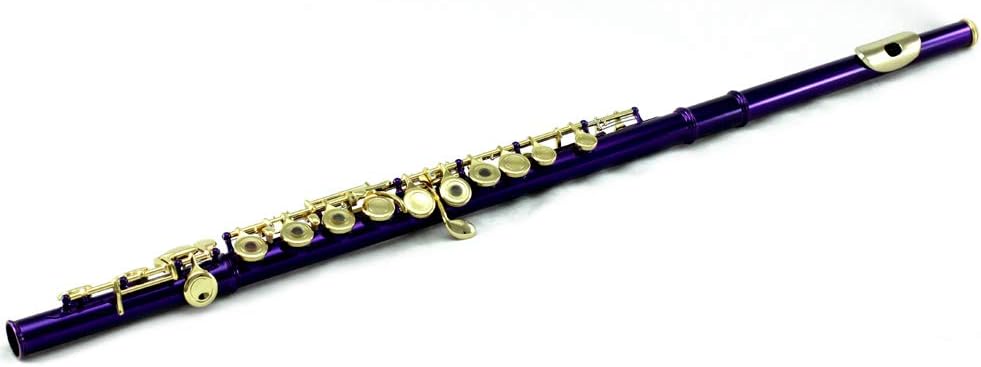 Sky Closed Hole C Flute with 1 Year Manufacturer Warranty, Guarantee Sound with Lightweight Case, Cleaning Rod, Cloth, Joint Grease and Screw Driver (Purple/Gold Open)