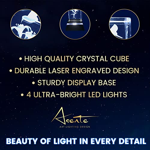 Asente 4 Ultra Bright Led Light Base Bundle With Hummingbird 3D Laser Etched Crystal Glass Picture - A Unique And Sentimental Gift For Collectors, Portable & Ultra Bight White Led Light #TOP3