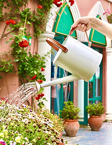 Wequality Watering Can For Outdoor&Indoor Plants，1 Gallon Metal Plant Watering Can With Copper Handles,Galvanized Steel Gardening Tool，White Color #TOP1