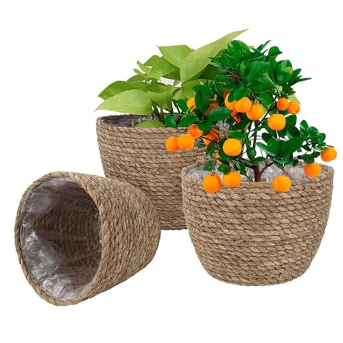 3 Piezas Cesta De Hierba Marina - Cesta Flores Tejidas En El Interior Y En El Exterior - Cestas De Hierba Marina Tejida Natural Con Forro Para Plantas Pequeñas Y Medianas, Macetas De Interior