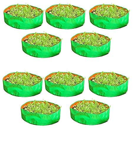 See full amazon price history chart for urban yardz High Density Polyethylene Terrace Gardening Leafy Vegetable Green Grow Bag for for Home Garden & Roof Top Balcony Gardening (18X9 Inch, Pack of 5) urban yardz High Density Polyethylene Terrace Gardening Leafy Vegetable Green Grow Bag for for Home Garden & Roof Top Balcony Gardening (18X9 Inch, Pack of 5) (B0D479YHJV) Amazon Price History, Amazon Price Tracker