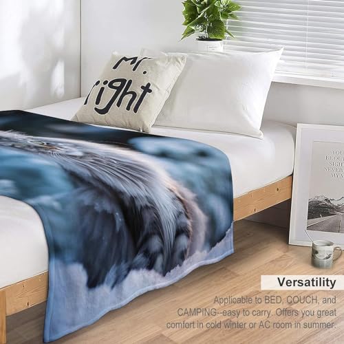 Couverture chat mignon pour chambre à coucher, canapé et camping - 7