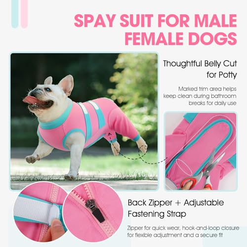 QBLEEV Dog Surgery Recovery Suit for Rear Legs, Long Back Leg Sleeve Pants by QBLEEV - Image 6