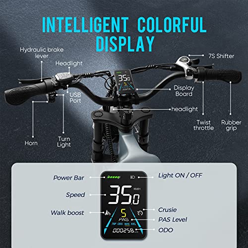 Eahora Juliet 60Ah 1000W Electric Bike For Adults Long Range Electric Bike 20 * 4.0 Fat Tire Electric Bike Full Suspension Electric Mountain Bike,Color Display (Black2) #TOP5