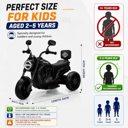 Image of Wishmaster Mini Harlay Electric Ride-On Bike for Kids | 6V Battery-Operated Motorcycle | Foot Accelerator | Suitable for Boys & Girls Aged 2-5 Years | Sturdy & Safe Toy Bike