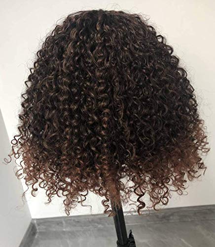 ANNIVIA Short Afro Curly Bob Deep Wigs for Black Women Big Bouncy Fluffy Kinky Curly Wig Darkest Brown Short Loose Curly Wig(MT1B/30)â€¦