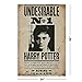 Harry Potter - Movie Poster Set (The Fat Lady Door Poster & Harry Potter Wanted) (Size: 21