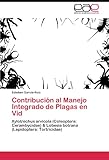  Contribución al Manejo Integrado de Plagas en Vid: Xylotrechus arvícola (Coleoptera: Cerambycidae) & Lobesia botrana (Lepidoptera: Tortricidae)
