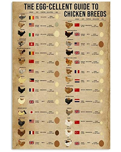 Yelacecca The Egg Guide To Chicken Breeds Art Poster
