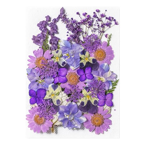 ドライフラワー 枯れない花 35枚入り 花材セット プリザーブドフラワー ハーバリウム ドライフラワー 花材 押し花 ハンドメイド材料 花資材 レジン アロマワックスサシェ ロッサム インテリア 手芸クラフト アクセサリー 人気 おしゃれの商品画像（Amazon）