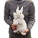 Hansa Rabbit Plush Animal Toy, 13