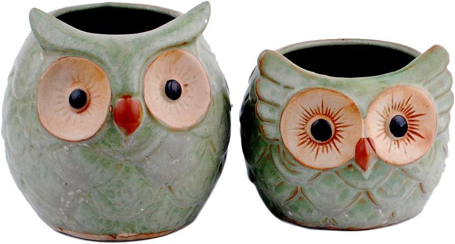 NWFashion Flower Pot Succulent Plants Cute Owl Animal Flower Container Decoration Set (Couple Owl) …