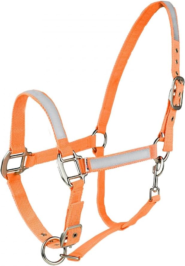 HORZE High-Visibility Adjustable Reflective Horse Halter for Nighttime Horseback Riding