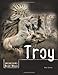 Troy (Unearthing Ancient Worlds)