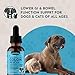 Animal Essentials Colon Rescue - Dog Stool Softener, Organic Slippery Elm Bark, Fast Acting Anti Diarrhea Liquid Drops for Dogs & Cats, Natural Constipation Relief Supplement for Pets - 2 fl oz