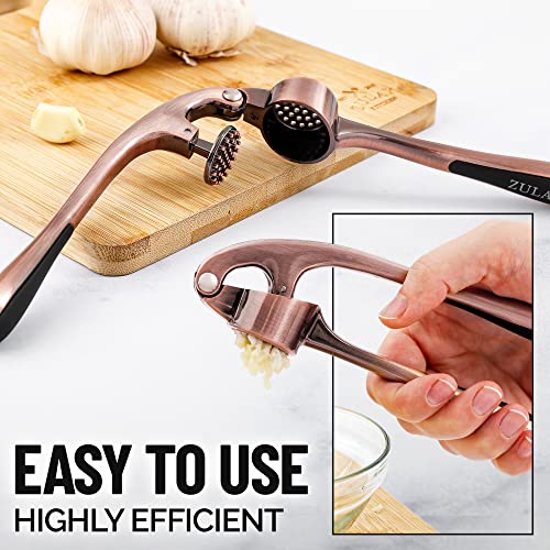 image for Zulay Kitchen Premium Garlic Press Set - Rust Proof & Dishwasher Safe 
