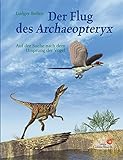 archaeopteryx ark  Der Flug des Archaeopteryx: Auf der Suche nach dem Ursprung der Vögel