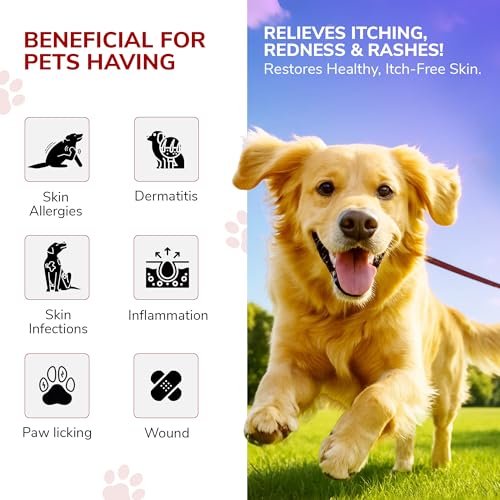 Bakson Veterinary Derm Aid Pet Skin Drop for Animals 30ML | Dogs & Cats Skin Infection Treatment & Allergy Relief | Itching, Redness, Hotspots, Fungal & Yeast Infection Care | Veterinary Medicine