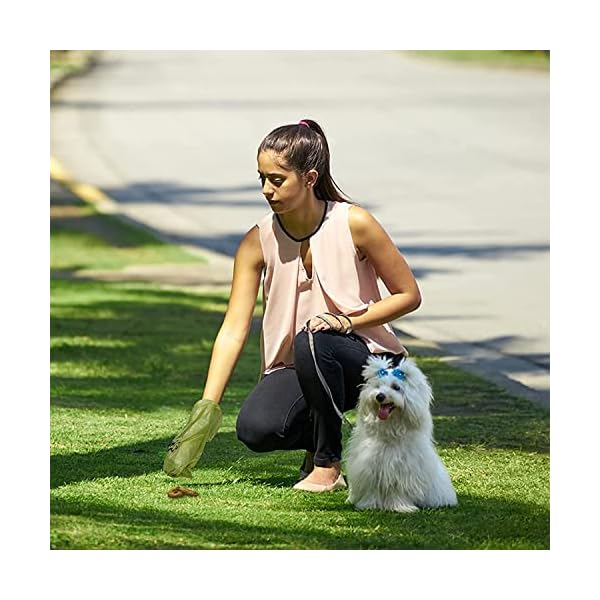 Biodegradable Dog Poop Bags,100% Compostable Dog Waste Bags,Made Entirely From Cornstarch,100% Leak Proof Poop Bags for Dogs(24 Rolls / 360 Count) Biodegradable Dog Poop Bags,100% Compostable Dog Waste Bags,Made Entirely From Cornstarch,100% Leak Proof Poop Bags for Dogs(24 Rolls / 360 Count)