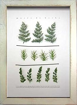 Jig Framed Art Musee de Herb myuze Doe erubu, Herbs, and 4 ZMH 50733