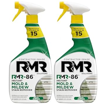 best mold remover for fabric