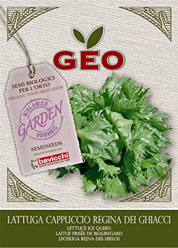 GEO BAVICCHI - SEMI BIOLOGICI SEEDS SEMENTI DI LATTUGA CAPPUCCIO REGINA DEI GHIACCI 4,5 GR