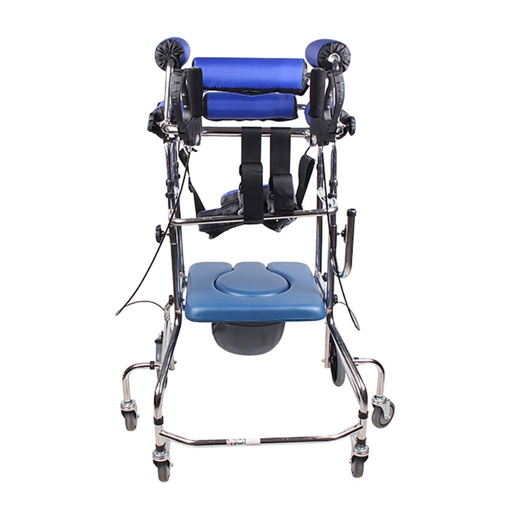 Buy Walker/Standing Walking Rack/Disabled Walking Assistance Sit ...