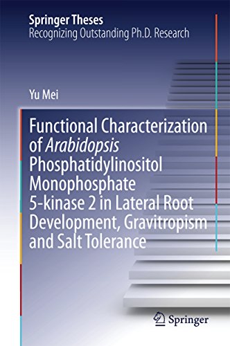 Functional Characterization of Arabidopsis Phosphatidylinositol Monophosphate 5-kinase 2 in Lateral Root Development, Gravitropism and Salt Tolerance (Springer Theses Book 417) (English Edition)