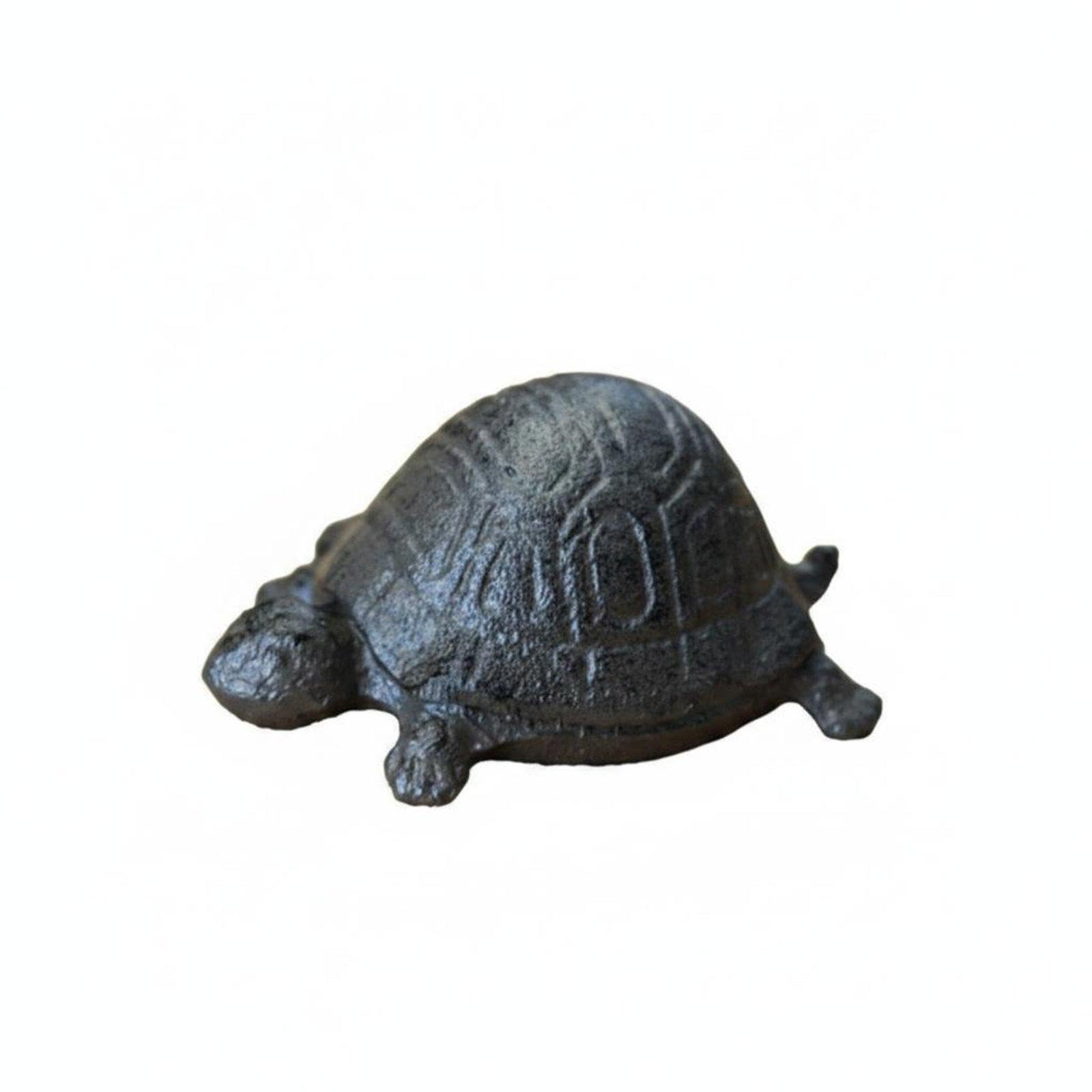 Turtle Storage Box Decorative Reptile Key Holder Realistic Modern Home Decor for Entryway, Living Room, Hallway|Home & Garden| Home D?cor| Key & Letter Holders-picture-10