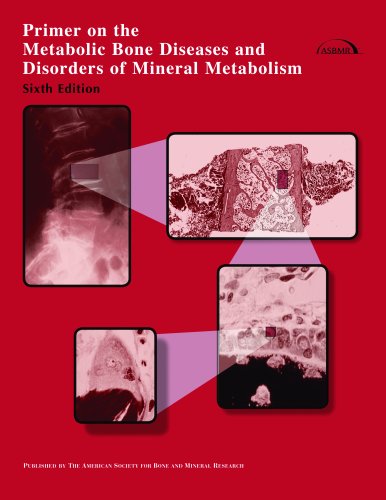 Buy Primer on the Metabolic Bone Diseases And Disorders of Mineral ...